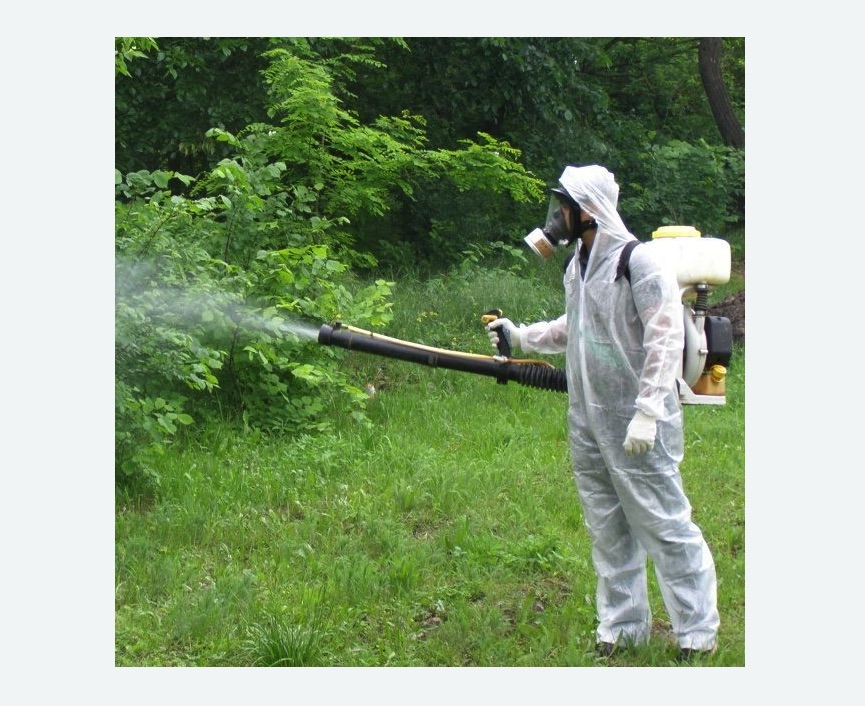 обработка территории от клещей в Приволжске