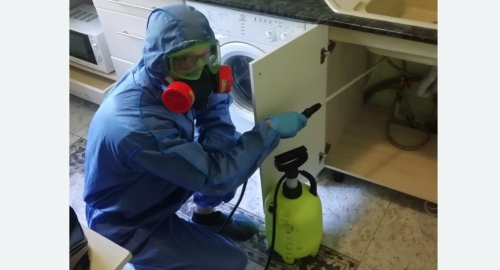 Уничтожение муравьев в квартире. Приволжск