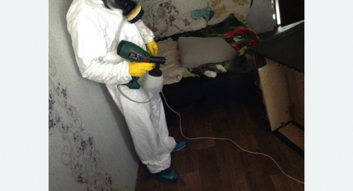 Обработка квартир от насекомых в Приволжске