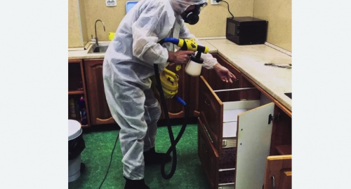 Дезинсекция квартиры. Приволжск