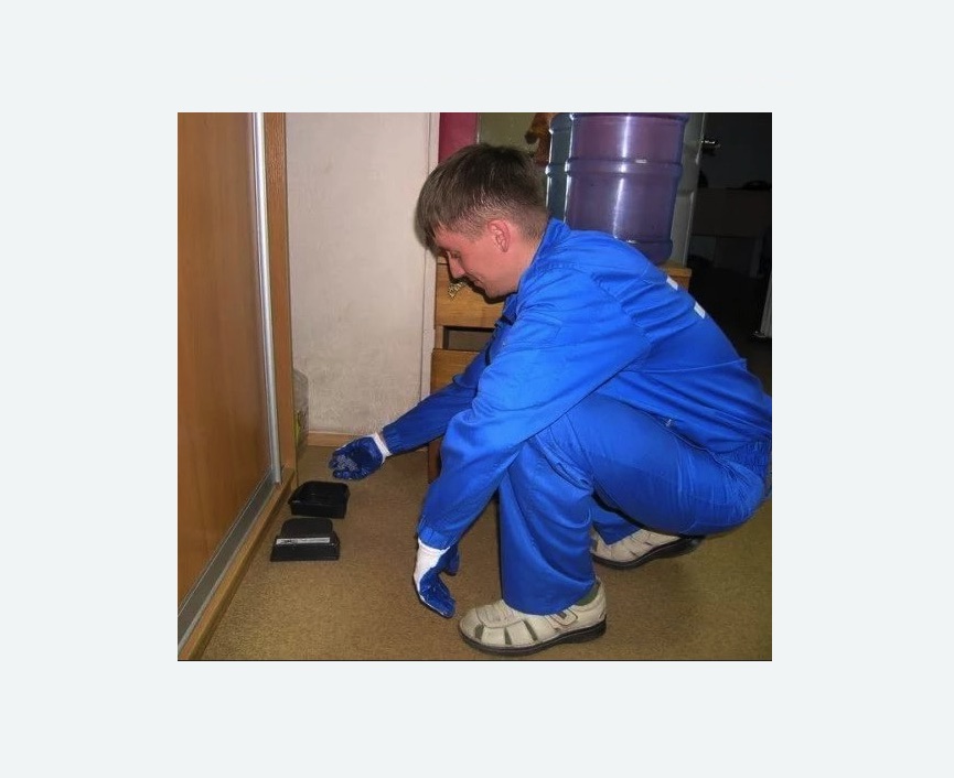 Дератизация крыс Дератизация крыс в Приволжске