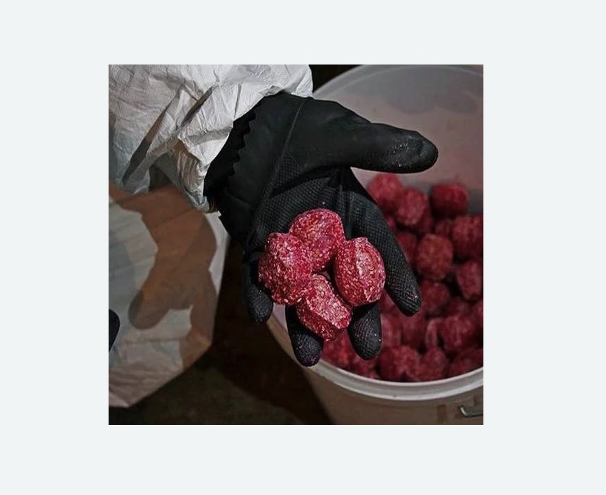 Обработка от крыс Обработка от крыс в Приволжске