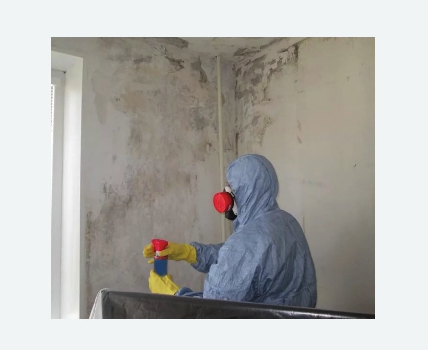 Удаление плесени в квартире в Приволжске