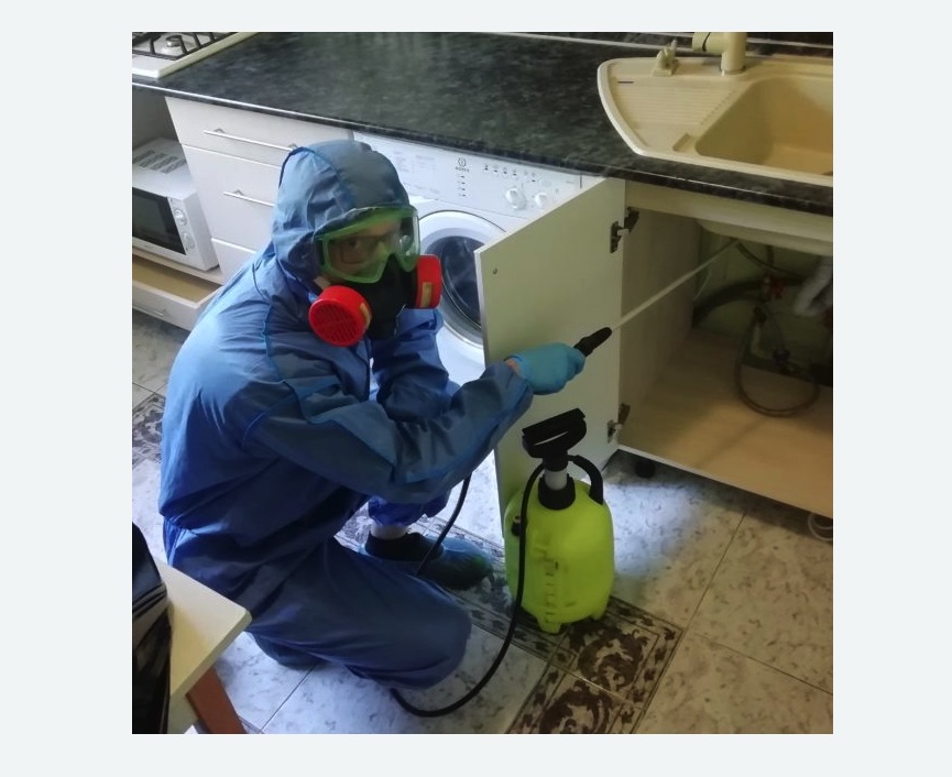 обработка от муравьев в квартире в Приволжске