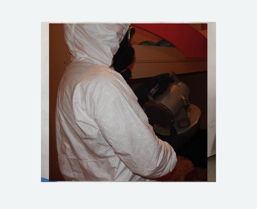 Дезинфекция от муравьев в Приволжске