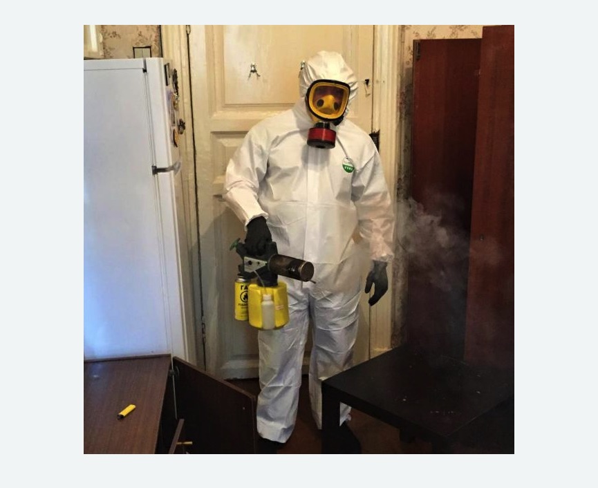 уничтожение муравьев в квартире в Приволжске